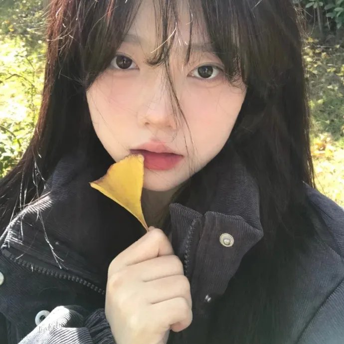 完美的旋律